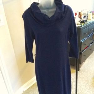The Limited Turtleneck dress